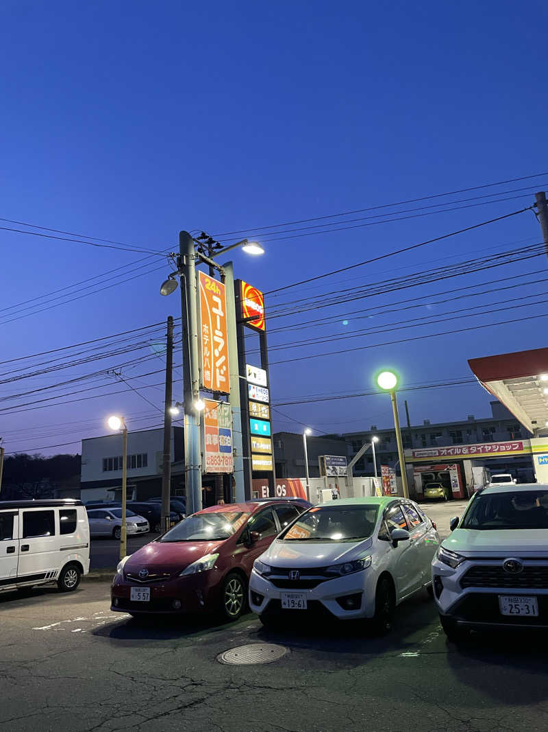 葉ッさん 🌱さんのユーランドホテル八橋のサ活写真