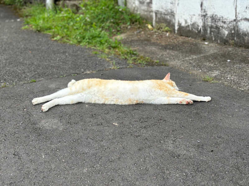 こまっちゃんさんのラムネ温泉館のサ活写真