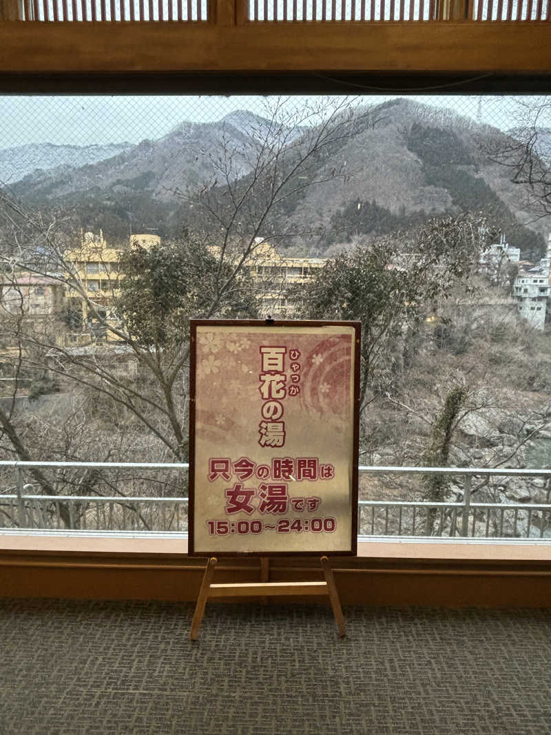 こまっちゃんさんの大江戸温泉物語 ホテル鬼怒川御苑のサ活写真