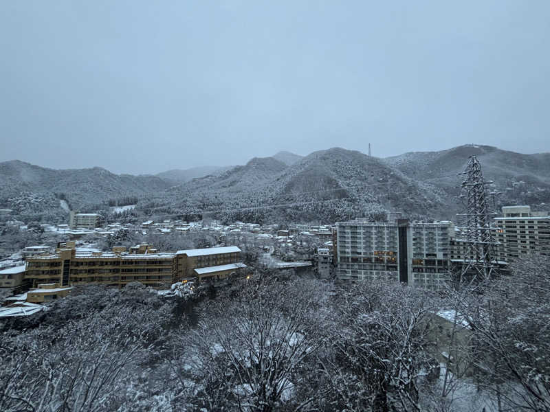 こまっちゃんさんの大江戸温泉物語 ホテル鬼怒川御苑のサ活写真