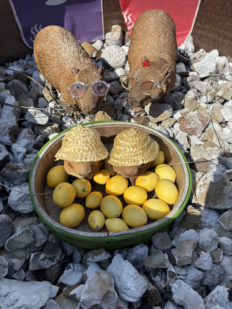 ちぃぃーこさんの富士山天然水SPA サウナ鷹の湯のサ活写真