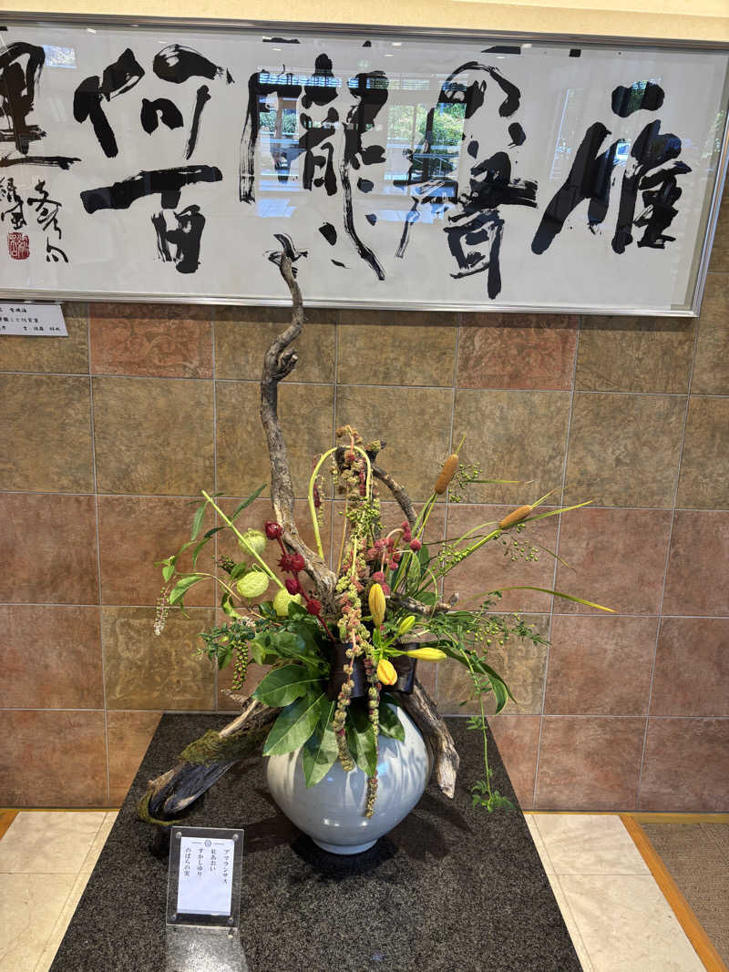 ちぃぃーこさんの天光の湯のサ活写真