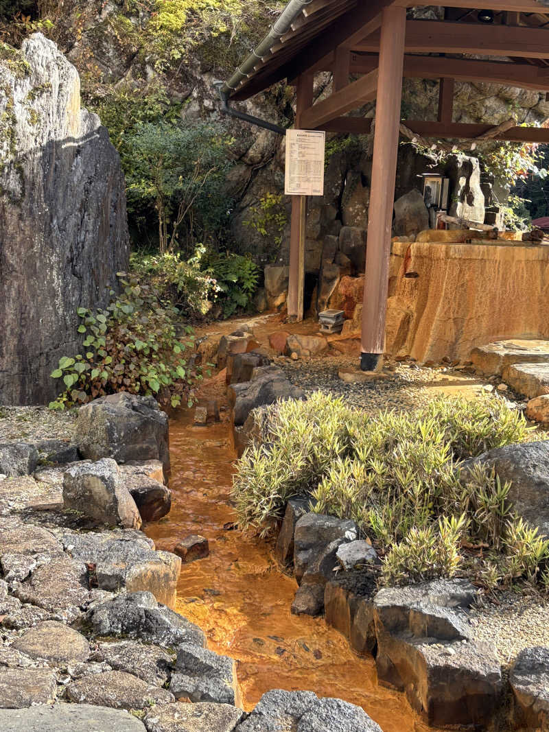 ちぃぃーこさんの巌立峡 ひめしゃがの湯のサ活写真