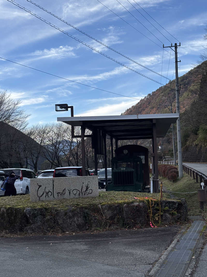 ちぃぃーこさんの巌立峡 ひめしゃがの湯のサ活写真