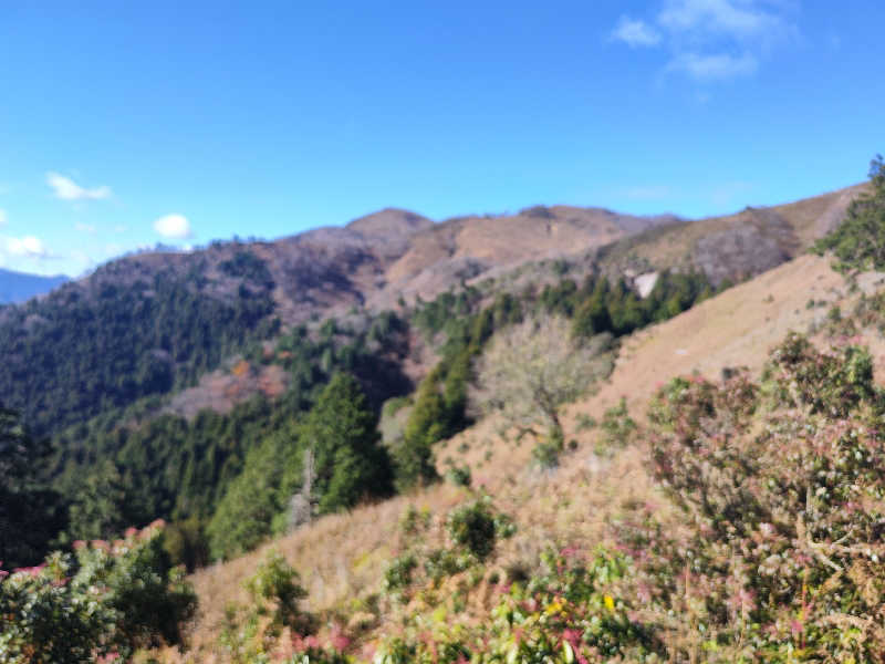 ZEROさんの神馬の湯のサ活写真