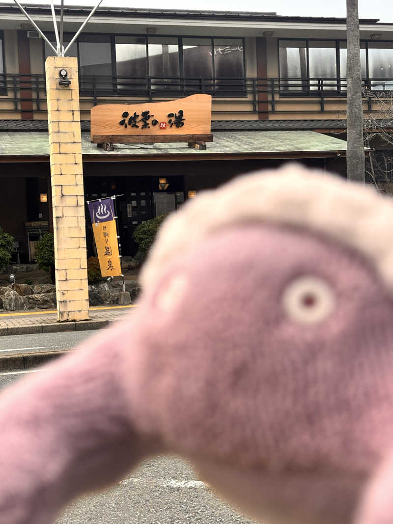 ジョルノ☆お嬢☆☆さんのみなと温泉 波葉の湯のサ活写真