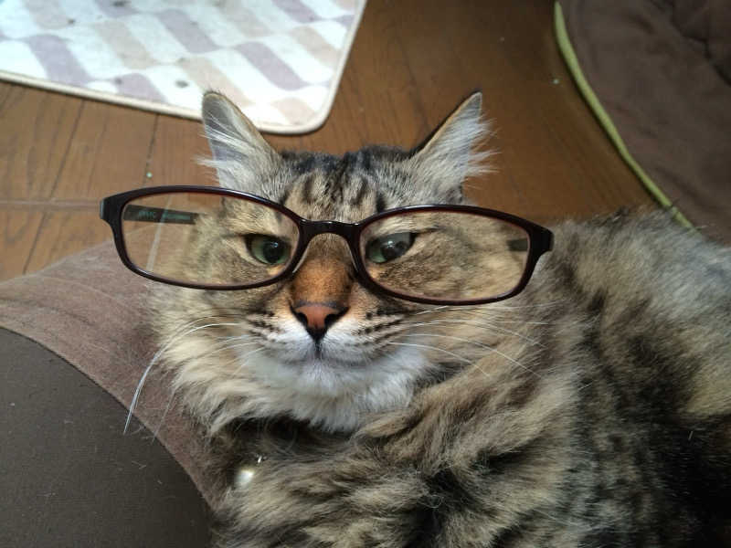 captain877さんのゆのゆ TOYOHASHIのサ活写真