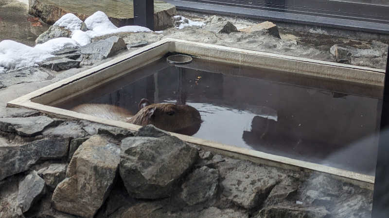 ちょひろさんの石狩天然温泉 番屋の湯のサ活写真