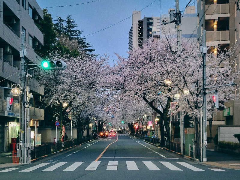 TCWさんの境南浴場のサ活写真