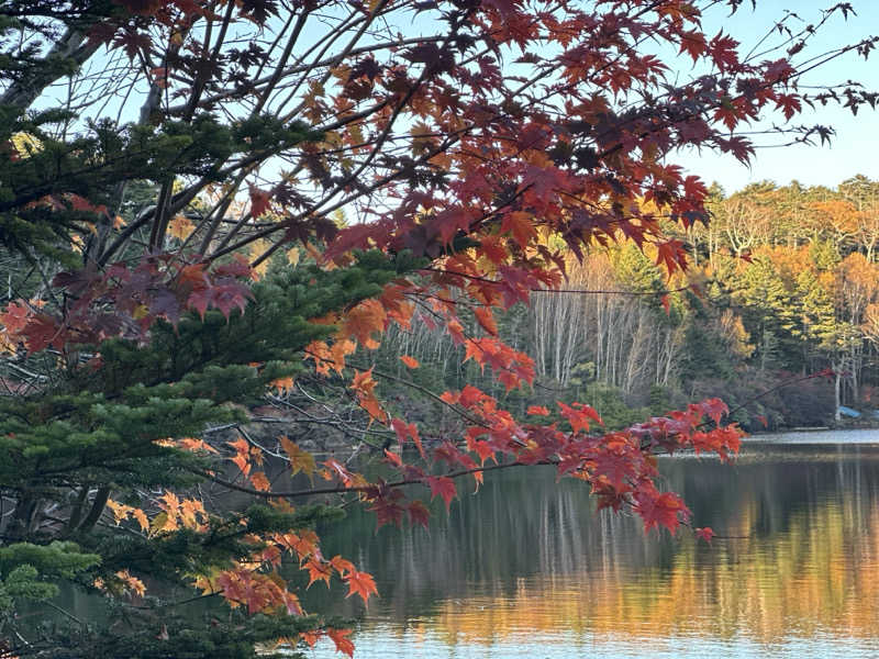 サボちゃん さんさんの八峰の湯(ヤッホーの湯)のサ活写真