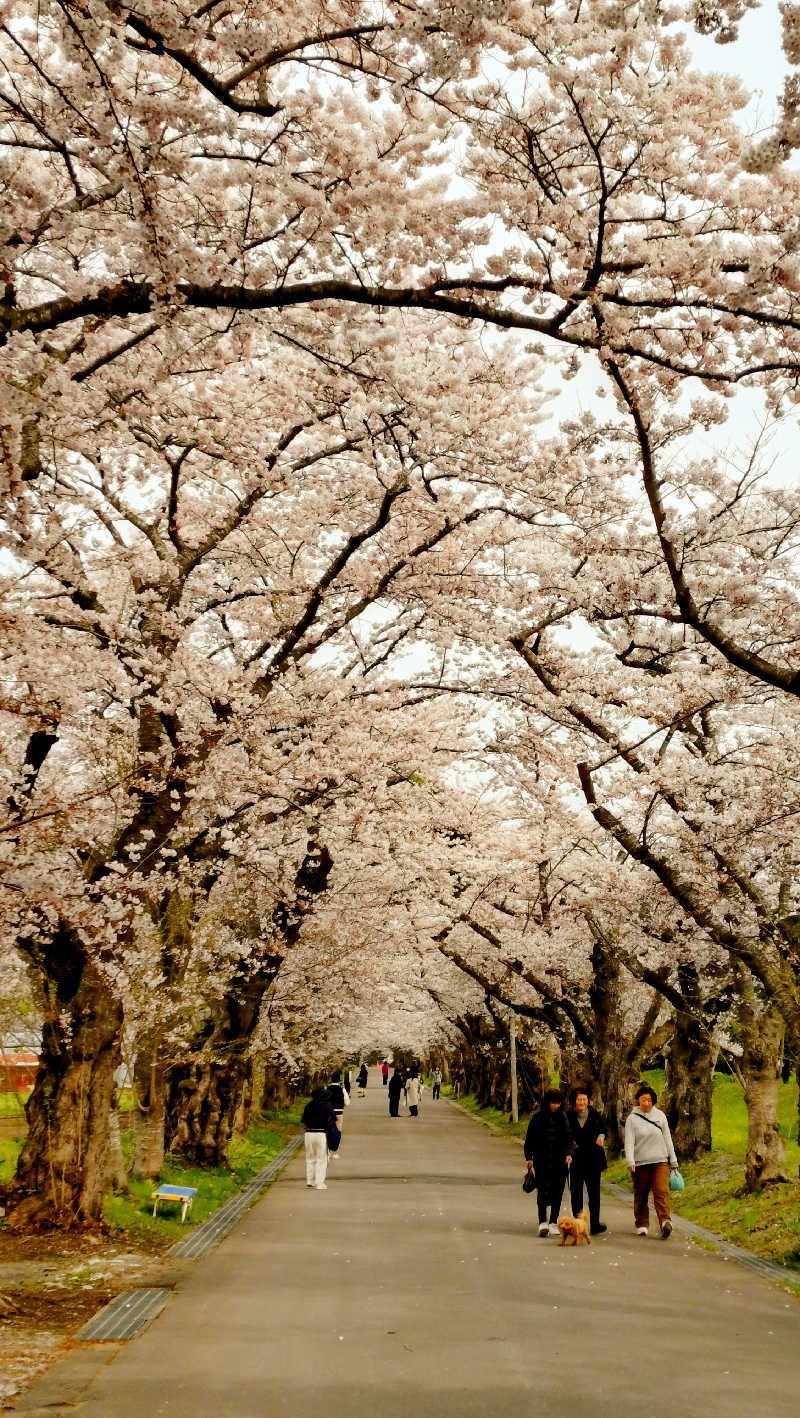 だんだんさんの北斗市健康センターせせらぎ温泉のサ活写真