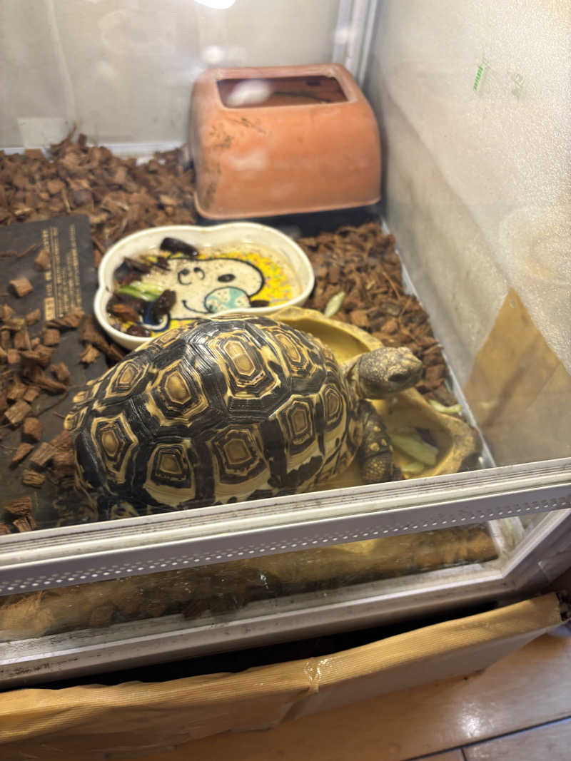 ぽん太郎さんの天然温泉 華の湯のサ活写真