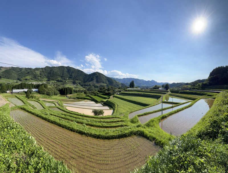 みやちょさんの天岩戸の湯のサ活写真