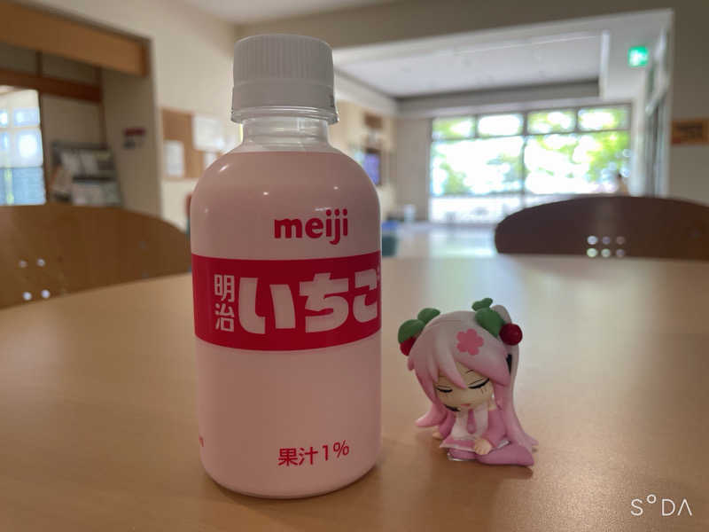 津軽の嫁ｺさんの湯の沢温泉ちゃぽらっとのサ活写真