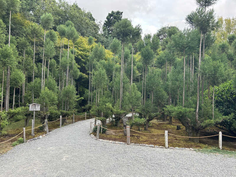 がりさんの船岡温泉のサ活写真