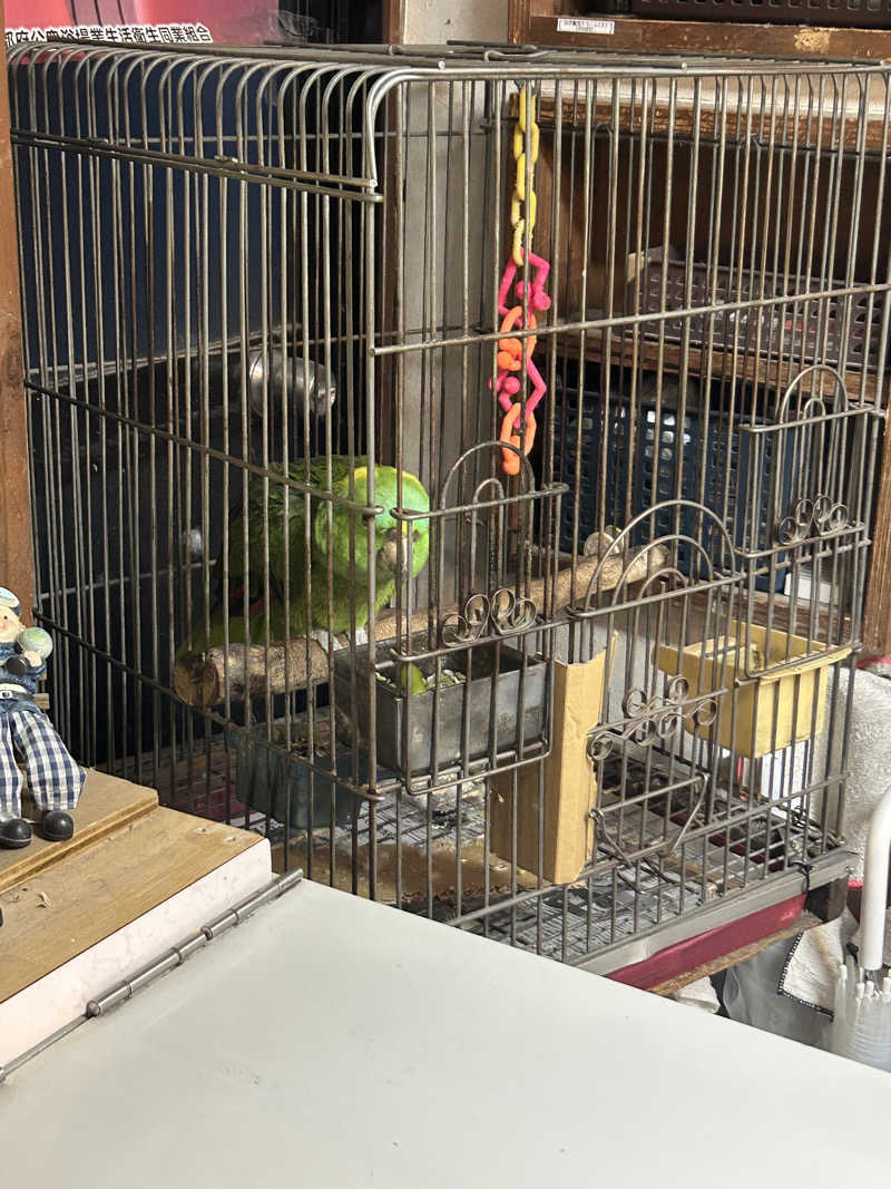 がりさんの松葉湯のサ活写真