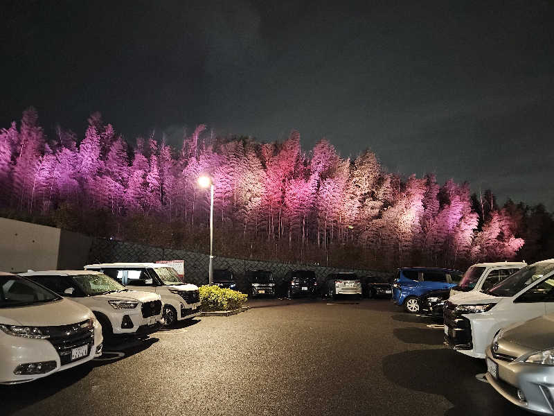 サウナでヴィヒタりて風呂へ行くさんの竹取温泉 灯りの湯のサ活写真