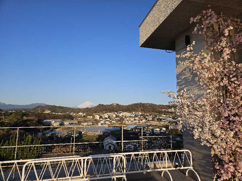 サウナでヴィヒタりて風呂へ行くさんの大磯プリンスホテル THERMAL SPA S.WAVEのサ活写真