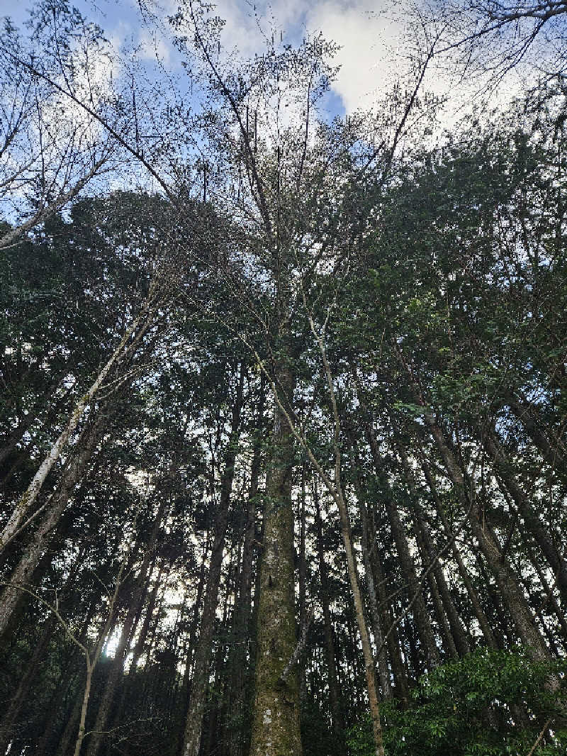 サウナでヴィヒタりて風呂へ行くさんのSHITARA VILLAGEのサ活写真