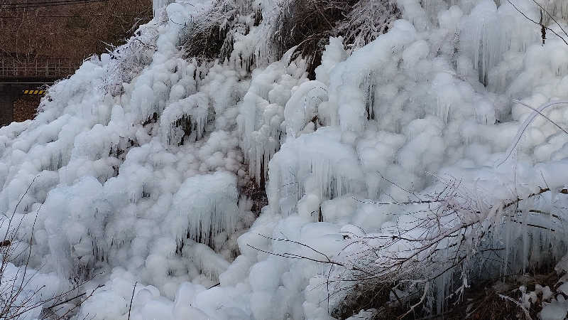 goya21さんのホテルルートインGrand秩父のサ活写真