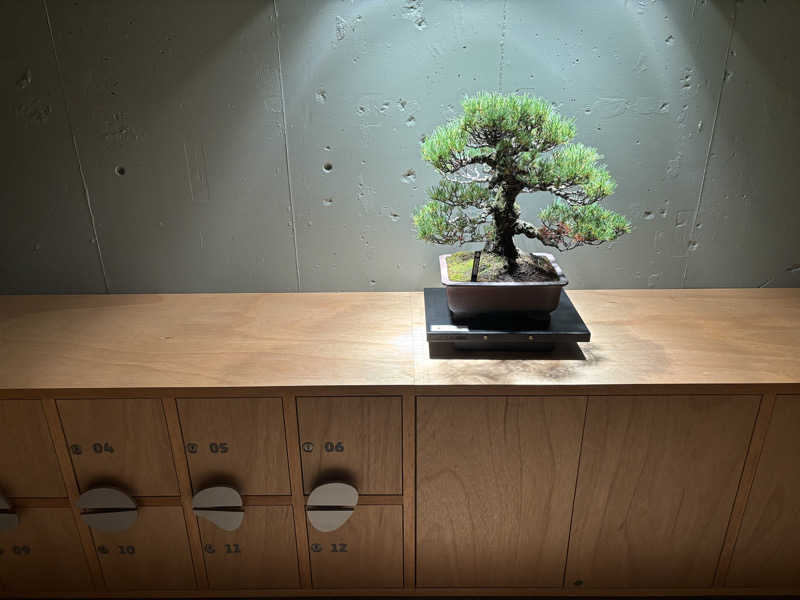 サウナ教さんのneverendingのサ活写真