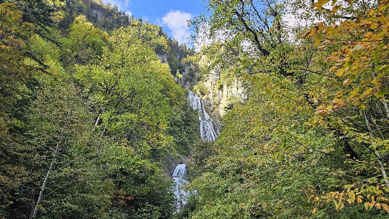 toshiさんのキトウシの森きとろんのサ活写真