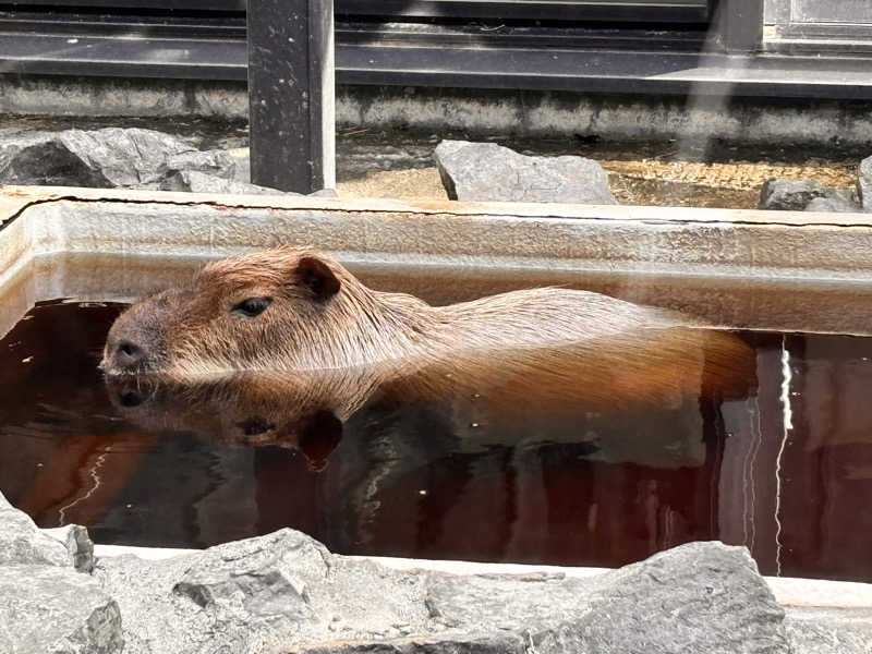 琢郎さんの石狩天然温泉 番屋の湯のサ活写真