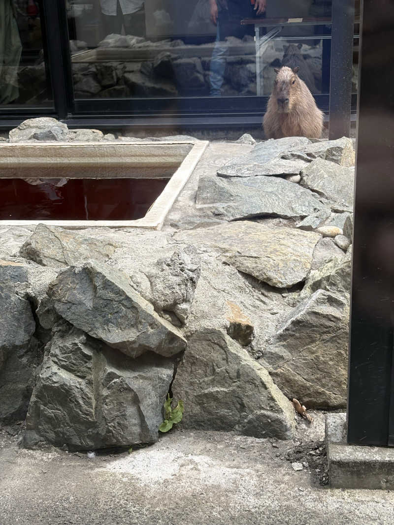 sn-2さんの石狩天然温泉 番屋の湯のサ活写真
