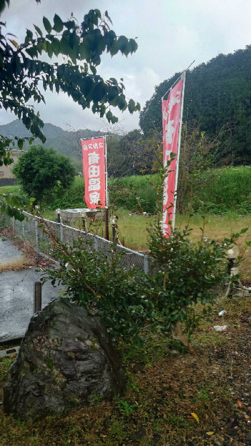 カイミーさんのヌルヌル有田温泉のサ活写真