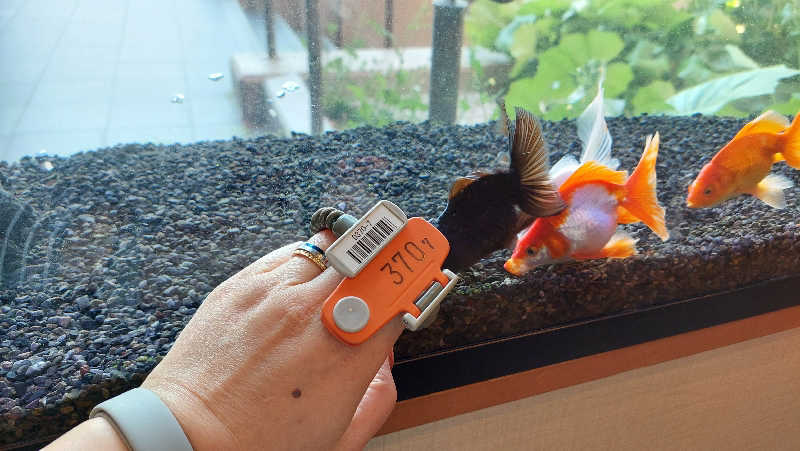 よちぼう@水風船サウナーさんの竹取温泉 灯りの湯のサ活写真