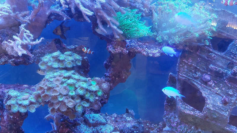 よちぼう@水風船サウナーさんの竹取温泉 灯りの湯のサ活写真