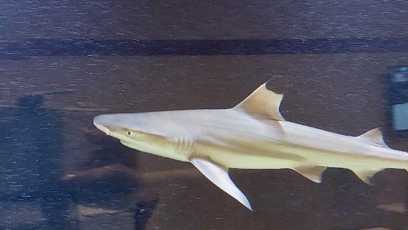 よちぼう@水風船サウナーさんの竹取温泉 灯りの湯のサ活写真