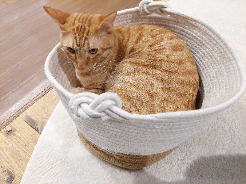 よちぼう@水風船サウナーさんの入船温泉のサ活写真