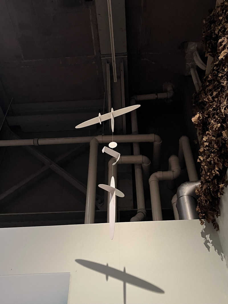 ぴーぽさんのSaunaLab Kanda (サウナラボ神田)のサ活写真