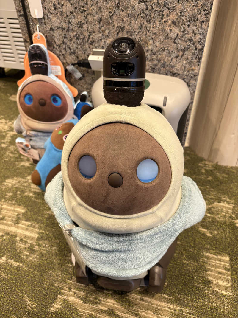 ぴーぽさんのSPA&ごはん ゆるうむ yuluumuのサ活写真