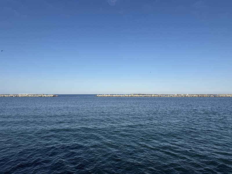 たなやんさんのなぎさの奏 夕鶴のサ活写真