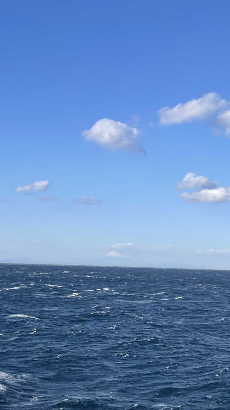 S.Shujiさんのはまゆう(東京九州フェリー)のサ活写真