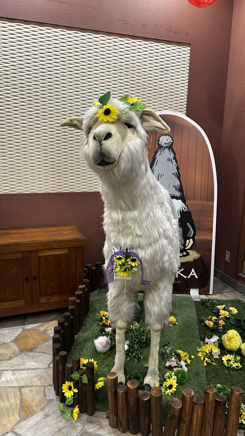 tatsuさんの湯の郷ほのか 蘇我店のサ活写真