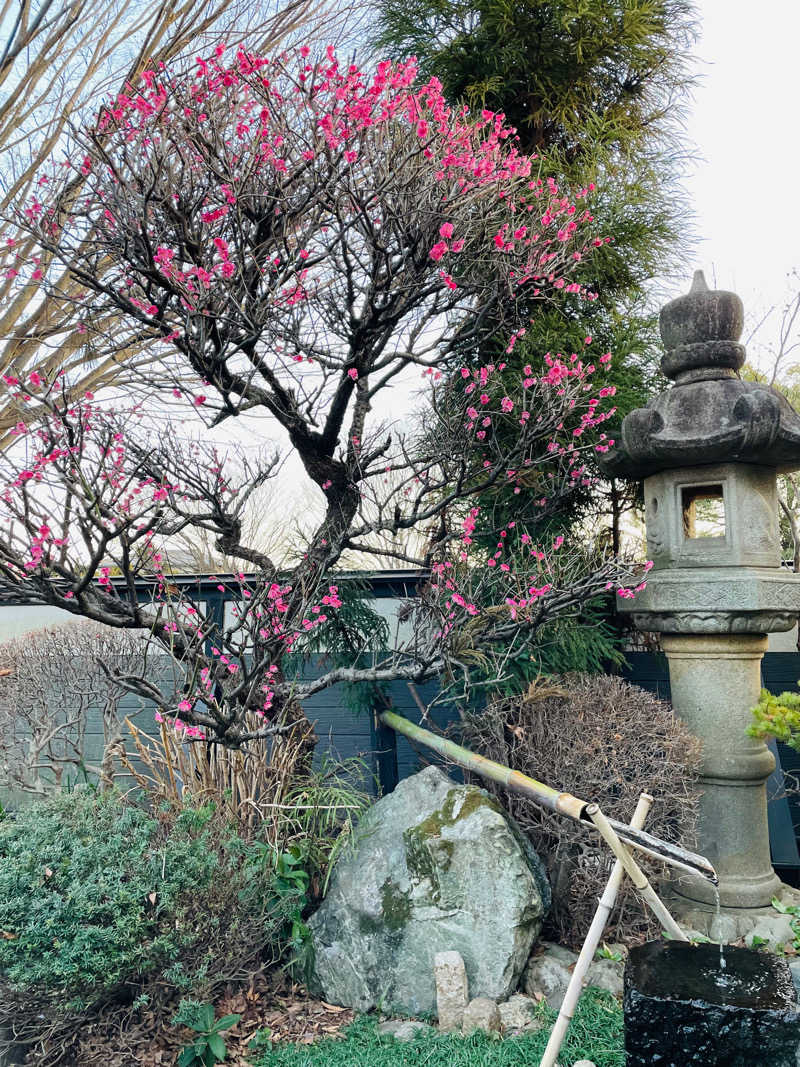 RYOさんの見沼天然温泉 小春日和のサ活写真