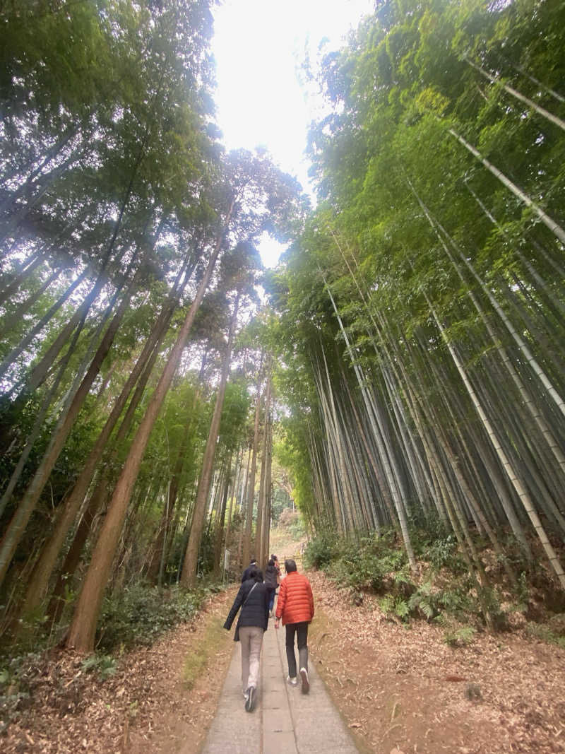 MARUNさんの御船山楽園ホテル  らかんの湯のサ活写真