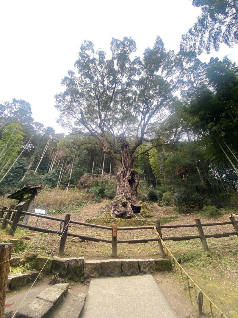 MARUNさんの御船山楽園ホテル  らかんの湯のサ活写真