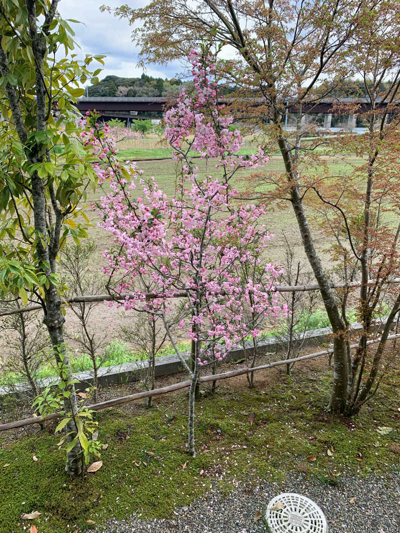 かとさんさんの龍泉の湯のサ活写真