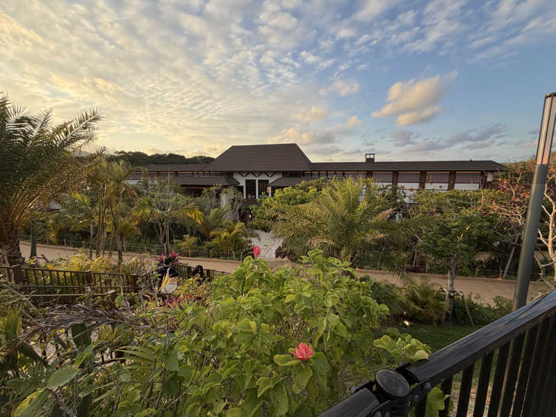 masa4saunaさんのスパ ジャングリアのサ活写真