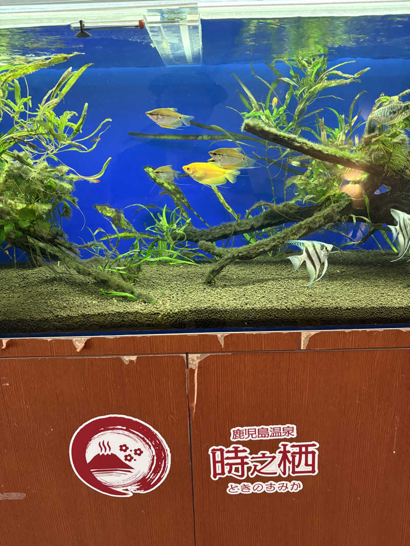 熱々クラブ員さんの鹿児島温泉 時之栖(ときのすみか)のサ活写真