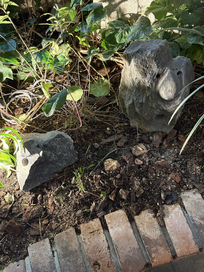 熱々クラブ員さんの神戸サウナ&スパ プラスのサ活写真