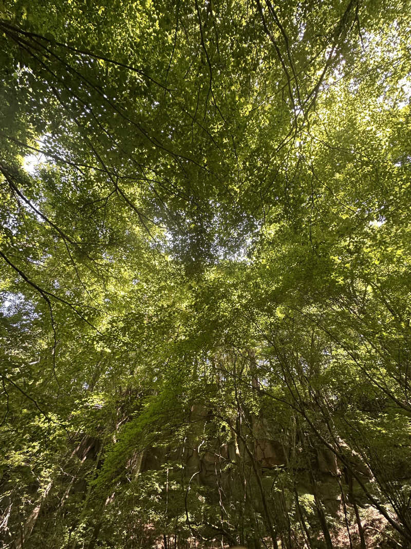 タナカマさんの八千穂SAUNAのサ活写真