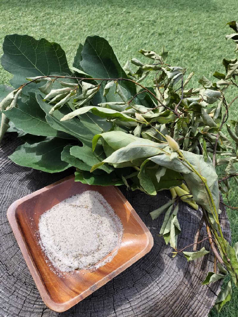 タナカマさんのGYU-YA VILLAのサ活写真