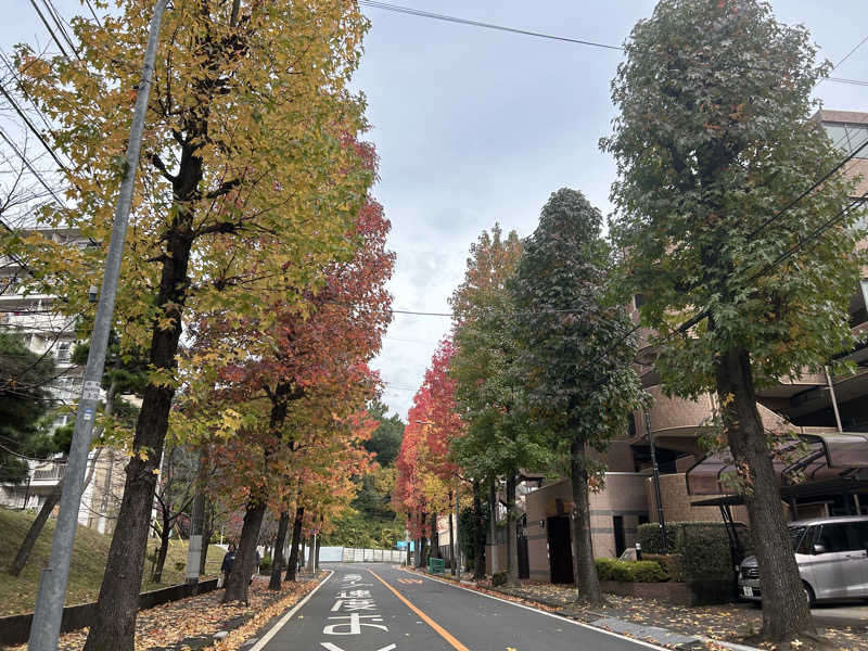 ヒロシさんの天然温泉すすき野 湯けむりの里のサ活写真