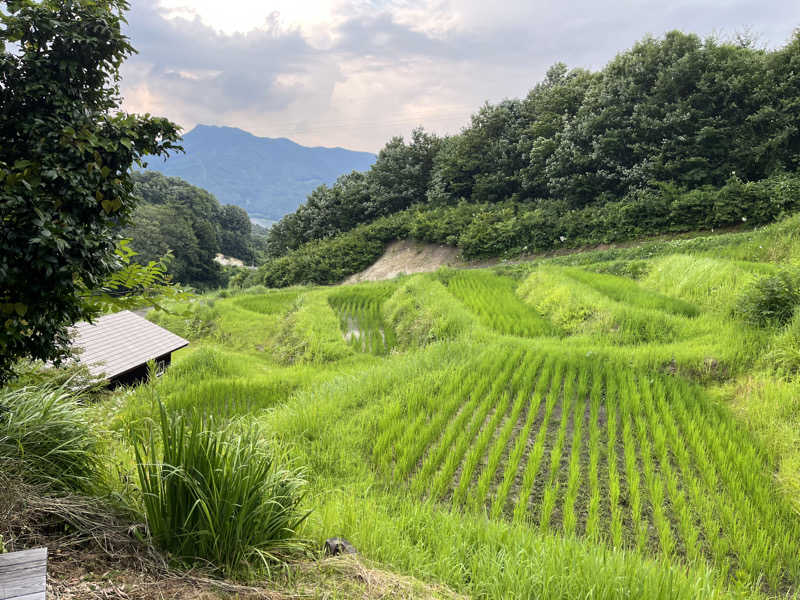 べべきゅさんのさなざわ㞢テラス(温泉&サウナ)のサ活写真