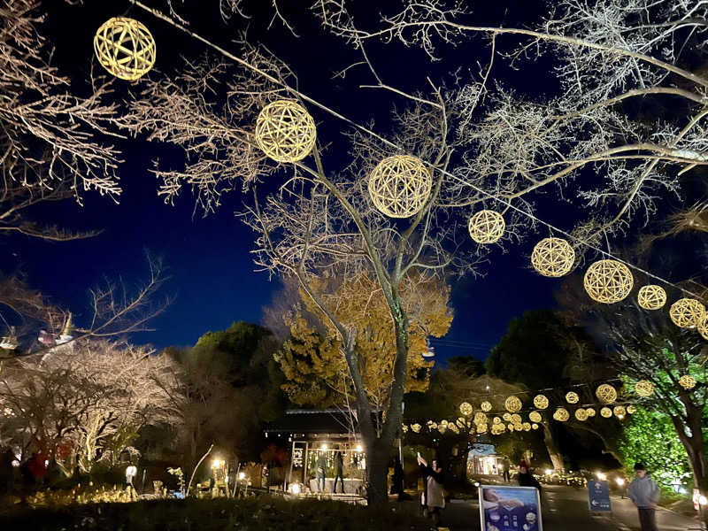 ぷっくささんのよみうりランド眺望温泉 花景の湯のサ活写真